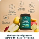 ancient-nutrition-organic-supergreens-bl-3.jpg
