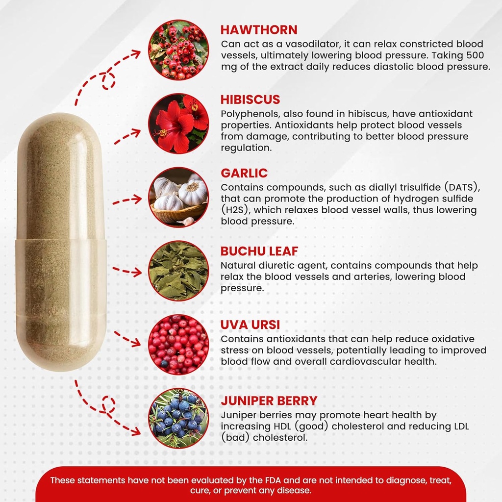 blood-pressure-support-and-cardiovascula-3.jpg