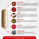 blood-pressure-support-and-cardiovascula-3.jpg
