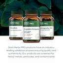 gaia-herbs-pro-cognitive-formula-brain-h-6.jpg