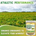 xprs-nutra-organic-rhodiola-rosea-powder-3.jpg