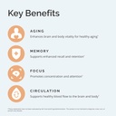 dr-amen-brainmd-bright-minds-memory-mult-5.jpg