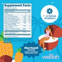 wellah-electrolytes-powder-blue-hawaii-5-2.jpg