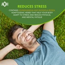 energy-supplements-natural-adaptogen-pil-4.jpg