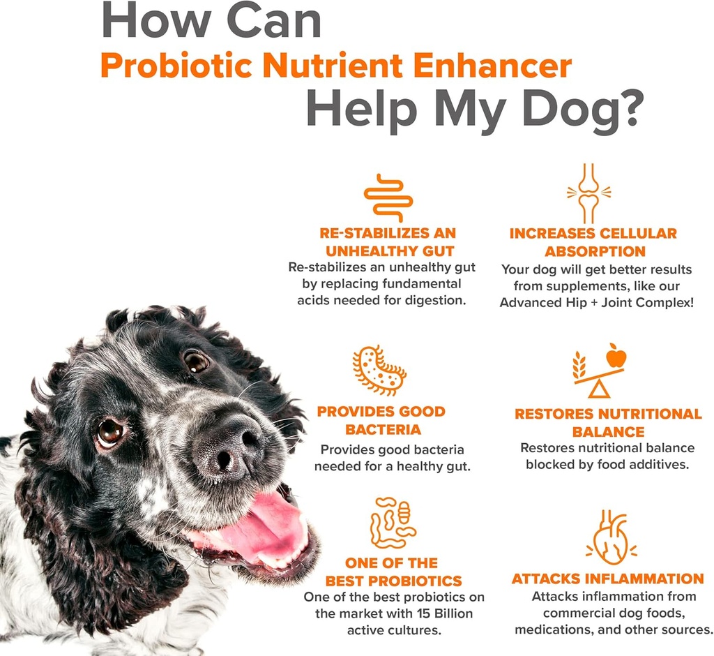 pet-probiotics-for-dogs-supplement---sup-6.jpg