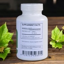 organic-ginkgo-biloba-leaf-capsules-500m-2.jpg