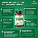zazzee-extra-strength-astragalus-root-20-6.jpg