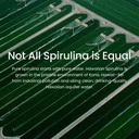 nutrex-hawaii-pure-hawaiian-spirulina-po-6.jpg