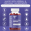 ksm-66-ashwagandha-gummies-wlemon-balm-v-2.jpg