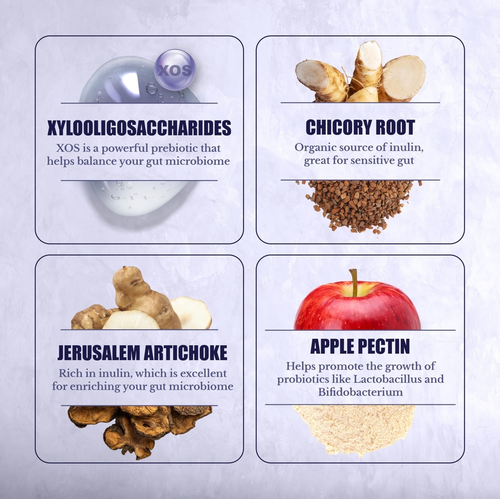prebiotics-supplement-for-gut-health-dig-5.jpg