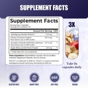 prebiotics-supplement-for-gut-health-dig-2.jpg