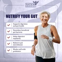 prebiotics-supplement-for-gut-health-dig-3.jpg
