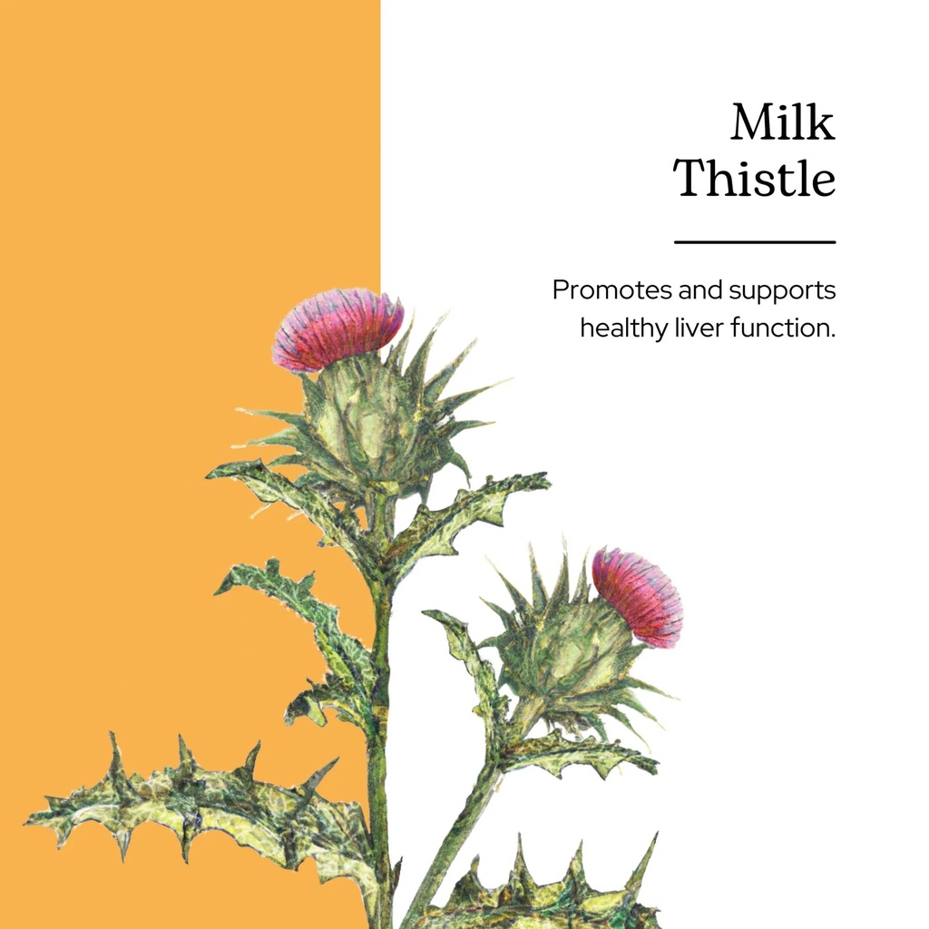 eclectic-herb-milk-thistle-glycerite-her-2.jpg