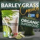 am2-organic-barley-grass-capsules-pure-b-2.jpg