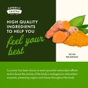 swanson-theracurmin---herbal-supplement--5.jpg
