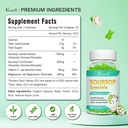 soursop-graviola-gummeis-organic-soursop-6.jpg