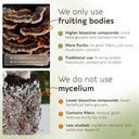 longevity-botanicals-turkey-tail-mushroo-4.jpg