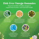 kids-dha-omega-3-gummies-for-kids---deli-5.jpg