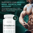 turkesterone-500mg-n-acetyl-cysteine-600-5.jpg