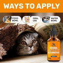 antibiotics-for-cats-in-drops-at-respira-4.jpg