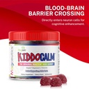 kiddocalm-magnesium-gummies---magtein-ma-5.jpg