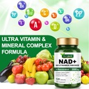 nad-supplement-2000-mg-extra-strength-fo-5.jpg
