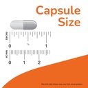 now-foods-supplements-bacopa-extract-bac-4.jpg