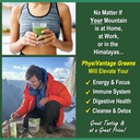 physivantage---organic-greens-powder---h-3.jpg