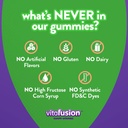 vitafusion-kids-elderberry-gummy-vitamin-3.jpg