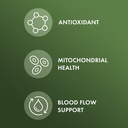dr-mercola-organic-pine-bark-extract-30--4.jpg