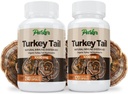 parker-naturals-turkey-tail-mushroom-cap-4.jpg