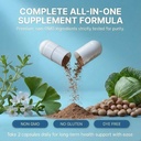 phosphorus-supplements-ginkgo-biloba-pho-6.jpg