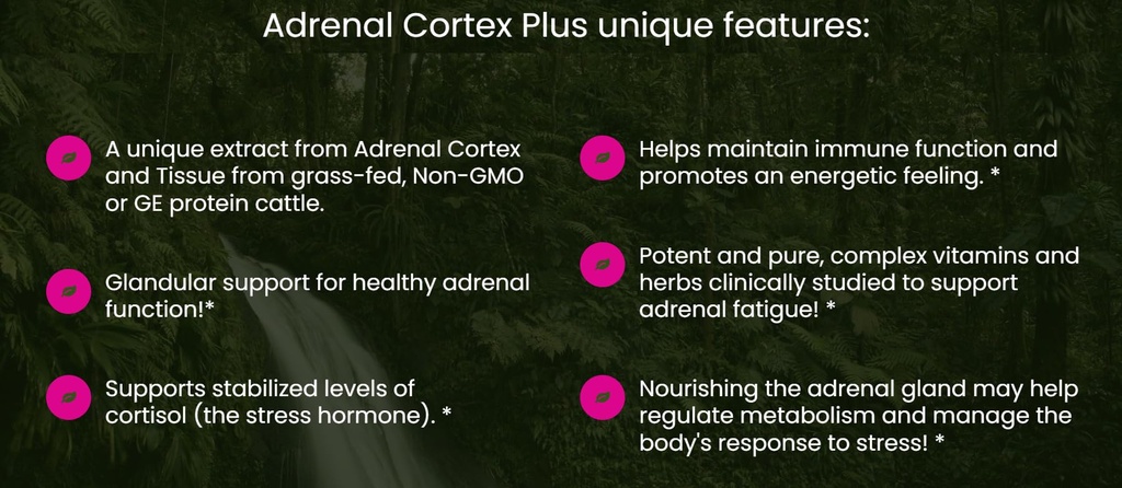 all-in-nutritionals-adrenal-cortex-adren-2.jpg