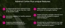 all-in-nutritionals-adrenal-cortex-adren-2.jpg