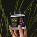 all-in-nutritionals-adrenal-cortex-adren-6.jpg