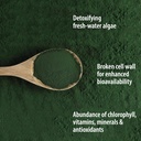 organic-traditions-organic-powder-chlore-3.jpg