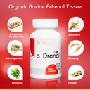 rlc-labs-a-drenal-240-capsules-herbal-co-3.jpg