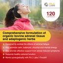rlc-labs-a-drenal-240-capsules-herbal-co-4.jpg