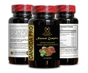 candida-pro-complex-probiotic-formula-or-5.jpg
