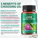 liver-cleanse-detox-repair---health-live-2.jpg