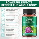liver-cleanse-detox-repair---health-live-5.jpg