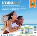 usda-organic-sea-moss-capsules---irish-s-2.jpg