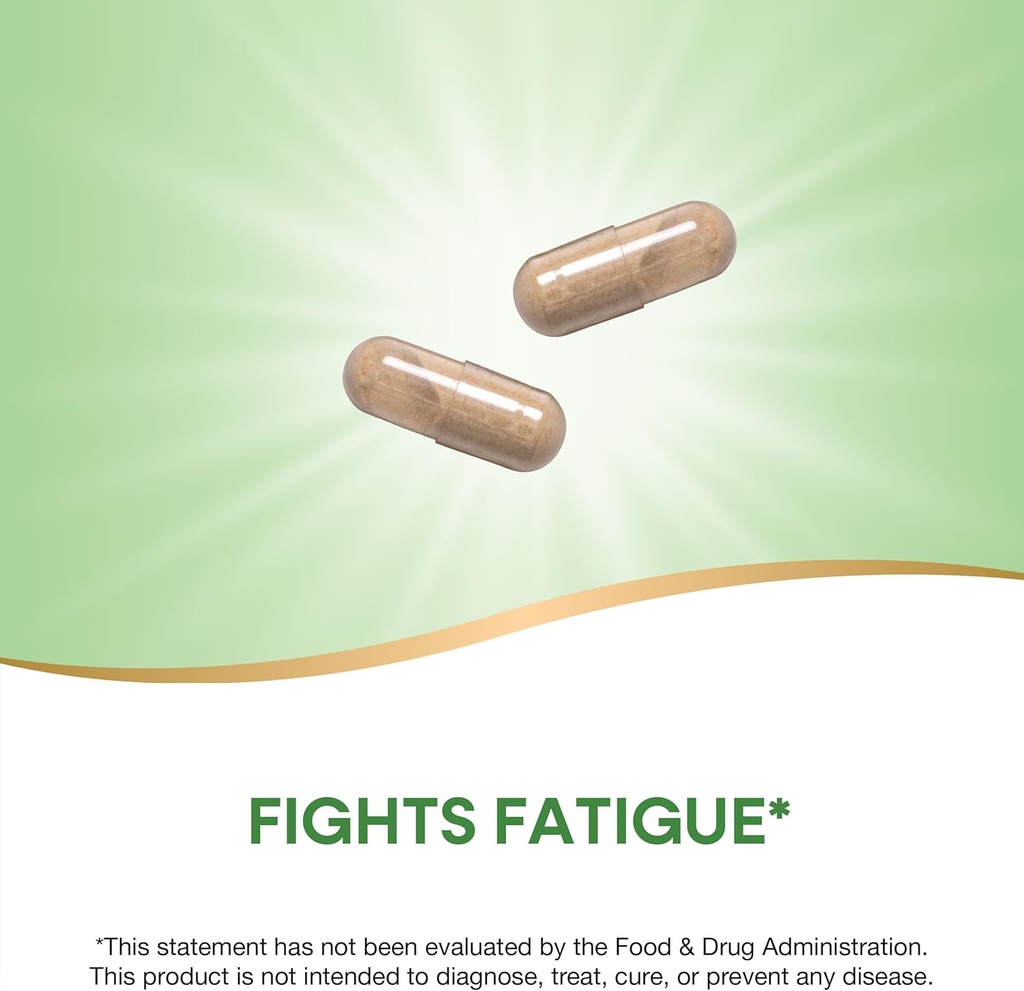 natures-way-asian-ginseng-fights-fatigue-3.jpg