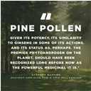 surthrival-pine-pollen-pure-potency-extr-5.jpg