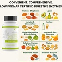 fodmap-digestive-enzymes-no-high-inulin--2.jpg