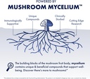 host-defense-mycoshield-throat-spray---i-4.jpg