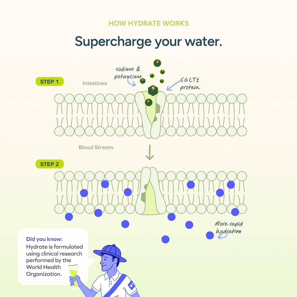 cheers-hydrate-oral-rehydration-solution-3.jpg