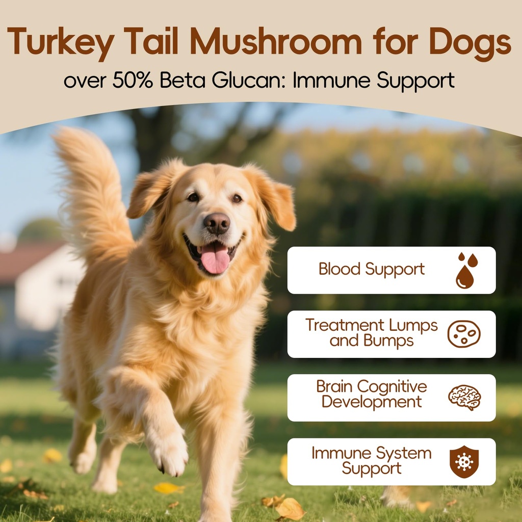 herbal-turkey-tail-mushroom-powder-for-d-4.jpg