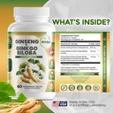 ginko-biloba-panax-ginseng-supplement----2.jpg