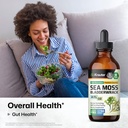bio-krauter-dozen-mushroom-tincture-4-fl-6.jpg